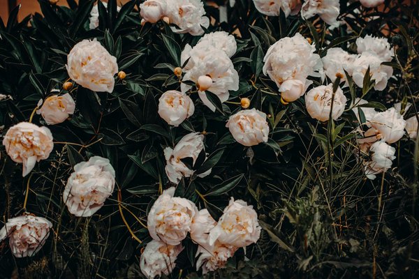 10 Euros Pas De Bonus De Dépôt Pour Casino