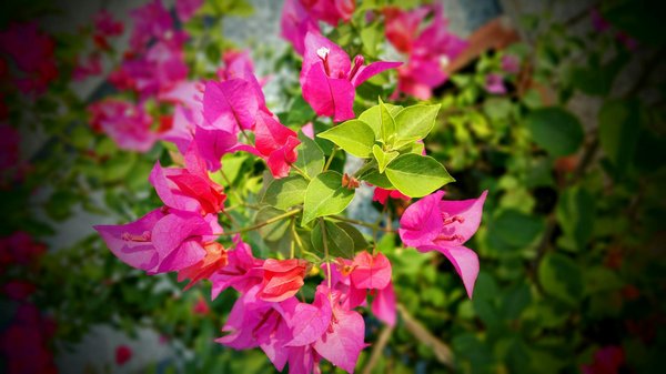 10 Euros Sans Bonus De Dépôt Casino En Ligne