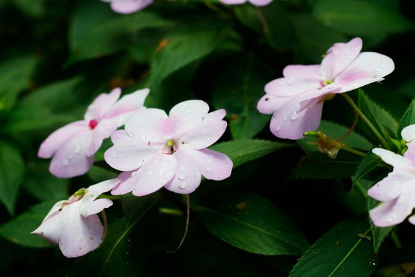 Tirage Loto Aujourd Hui