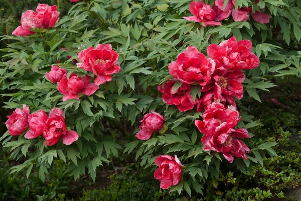 Keno Du Jour Résultats