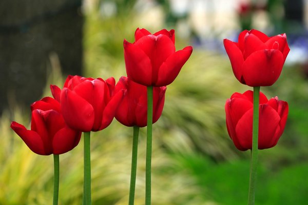 Les 500 Derniers Tirages Du Keno