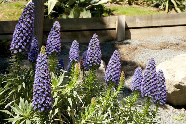 Résultats Du Keno D Aujourd Hui Midi Et Soir Résultat