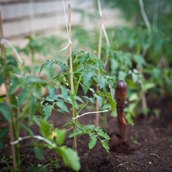 Avantages de la permaculture Genève pour l'environnement et la communauté