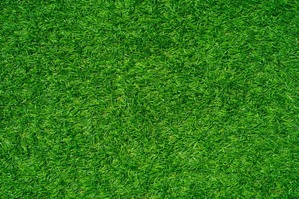 Comment choisir la meilleure brosse pour entretenir votre gazon synthétique ?